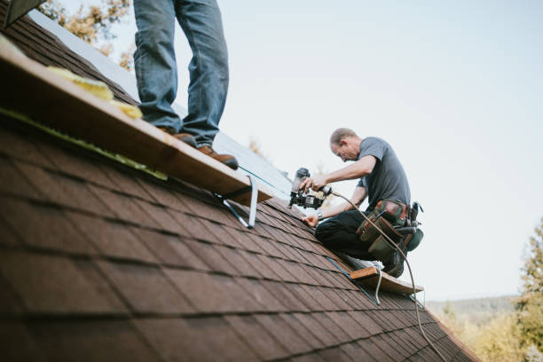 Best Roof Gutter Cleaning  in Bay City, MI